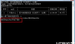 b站视频下载器,揭秘高效视频下载器使用攻略